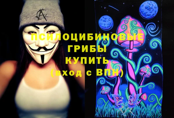 гидра Алзамай