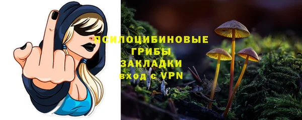 бошки Абаза