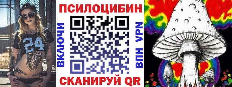 блэк спрут ссылка  Касли  Псилоцибиновые грибы Psilocybine cubensis  купить наркотики цена 